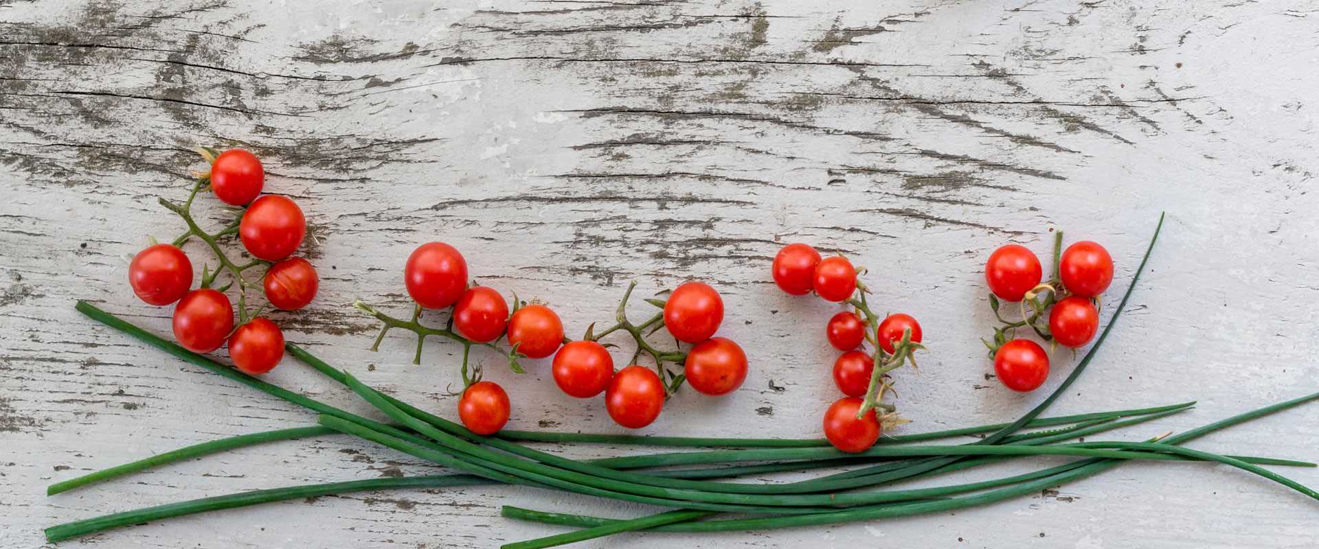 Griechisches Restaurant Poseidon II in Dresden0